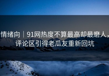 情绪向｜91网热度不算最高却最磨人，评论区引得老瓜友重新回坑
