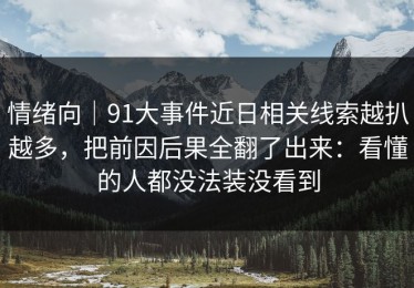情绪向｜91大事件近日相关线索越扒越多，把前因后果全翻了出来：看懂的人都没法装没看到