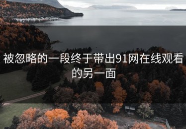 被忽略的一段终于带出91网在线观看的另一面