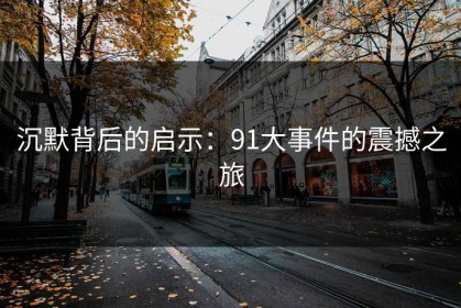 沉默背后的启示：91大事件的震撼之旅
