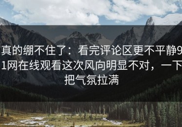 真的绷不住了：看完评论区更不平静91网在线观看这次风向明显不对，一下把气氛拉满