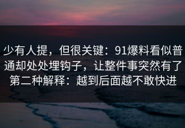 少有人提，但很关键：91爆料看似普通却处处埋钩子，让整件事突然有了第二种解释：越到后面越不敢快进