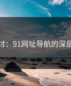 深入探讨：91网址导航的深层次秘密