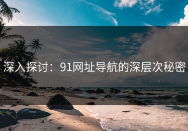 深入探讨：91网址导航的深层次秘密
