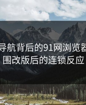 91网址导航背后的91网浏览器：小范围改版后的连锁反应