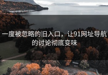 一度被忽略的旧入口，让91网址导航的讨论彻底变味