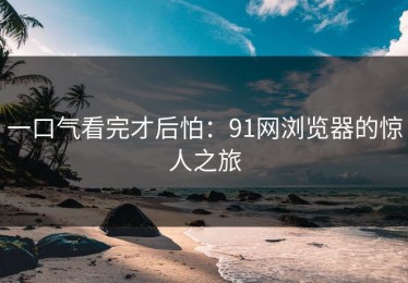 一口气看完才后怕：91网浏览器的惊人之旅