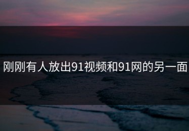 刚刚有人放出91视频和91网的另一面