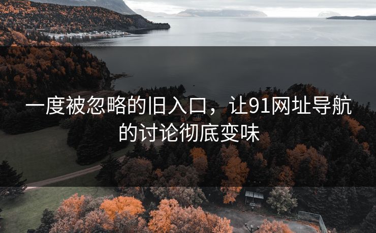 一度被忽略的旧入口，让91网址导航的讨论彻底变味