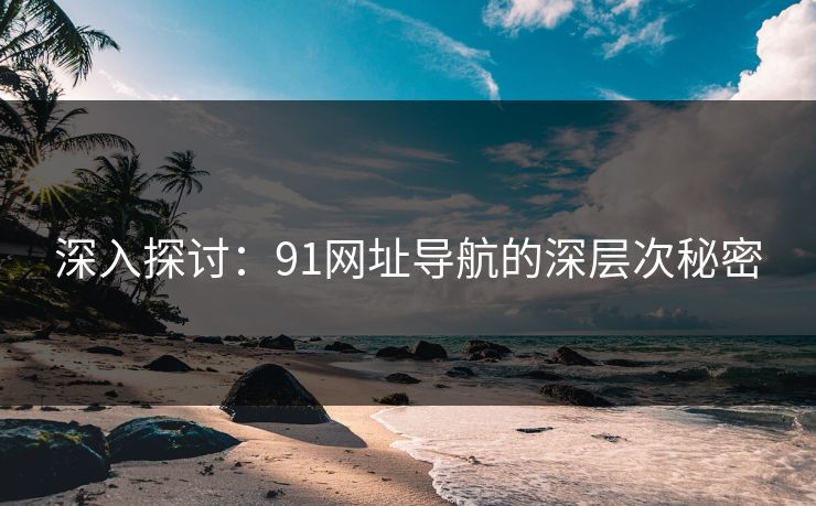 深入探讨：91网址导航的深层次秘密