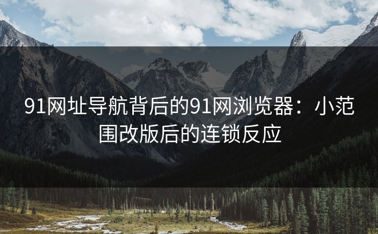 91网址导航背后的91网浏览器：小范围改版后的连锁反应