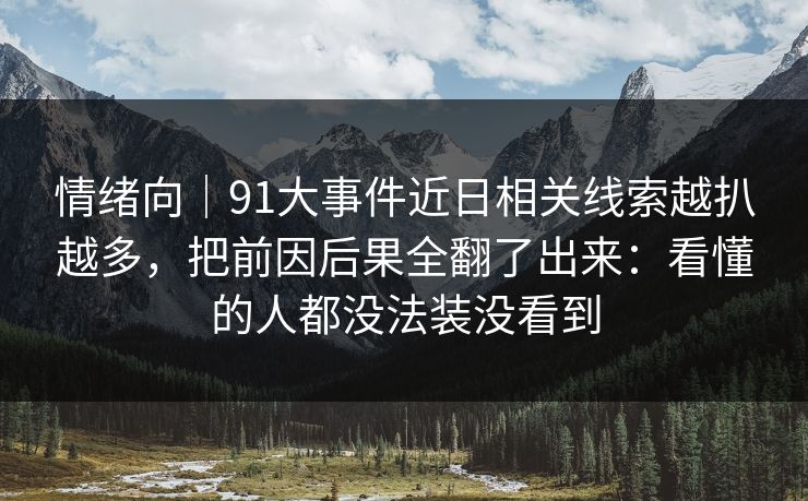 情绪向｜91大事件近日相关线索越扒越多，把前因后果全翻了出来：看懂的人都没法装没看到