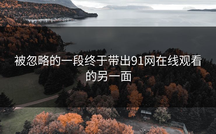 被忽略的一段终于带出91网在线观看的另一面