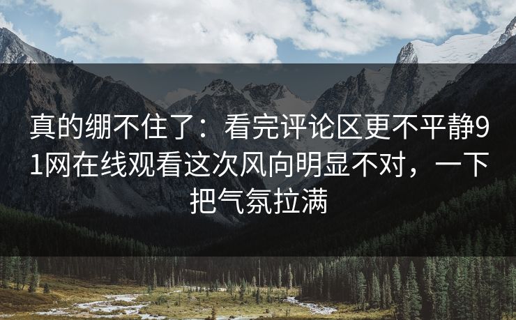 真的绷不住了：看完评论区更不平静91网在线观看这次风向明显不对，一下把气氛拉满