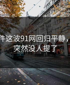 91大事件这波91网回归平静，为什么突然没人提了