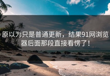 原以为只是普通更新，结果91网浏览器后面那段直接看愣了！
