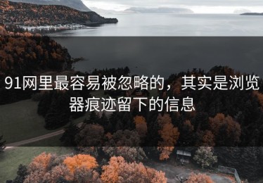 91网里最容易被忽略的，其实是浏览器痕迹留下的信息