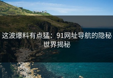 这波爆料有点猛：91网址导航的隐秘世界揭秘