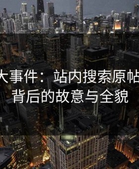 揭秘91大事件：站内搜索原帖的真相，背后的故意与全貌