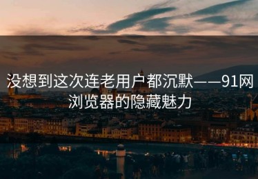 没想到这次连老用户都沉默——91网浏览器的隐藏魅力