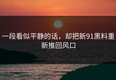 一段看似平静的话，却把新91黑料重新推回风口