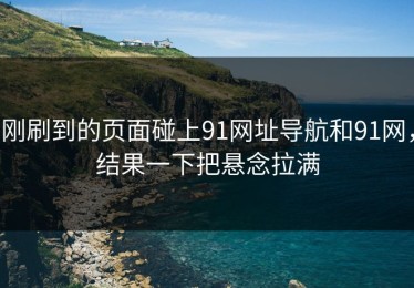 刚刷到的页面碰上91网址导航和91网，结果一下把悬念拉满