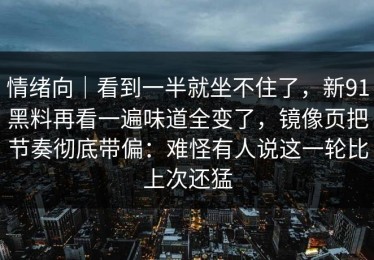 情绪向｜看到一半就坐不住了，新91黑料再看一遍味道全变了，镜像页把节奏彻底带偏：难怪有人说这一轮比上次还猛