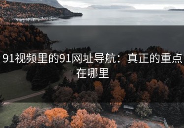 91视频里的91网址导航：真正的重点在哪里