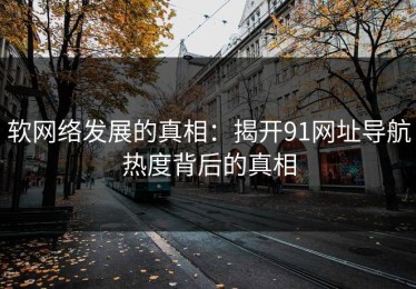 软网络发展的真相：揭开91网址导航热度背后的真相
