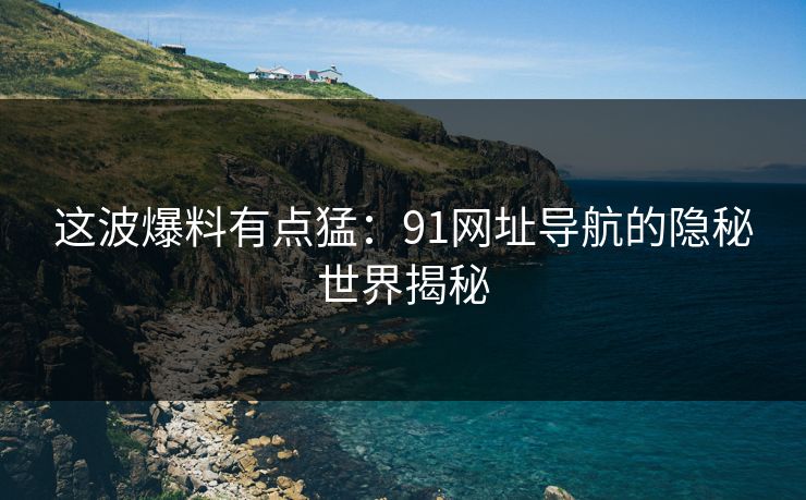 这波爆料有点猛：91网址导航的隐秘世界揭秘