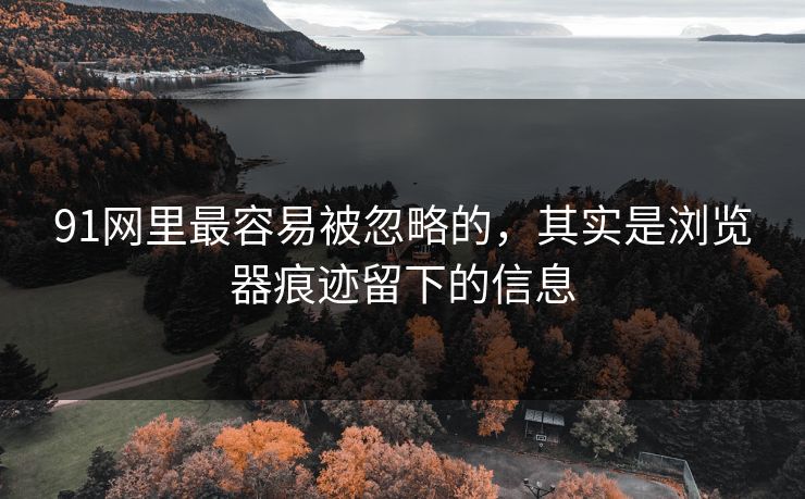 91网里最容易被忽略的，其实是浏览器痕迹留下的信息